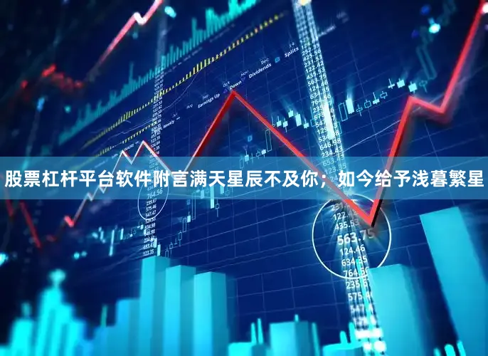 股票杠杆平台软件附言满天星辰不及你；如今给予浅暮繁星