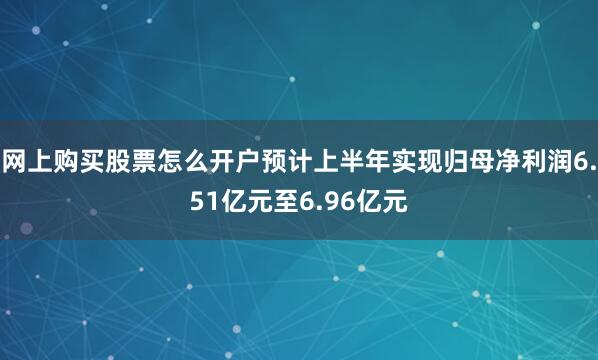 网上购买股票怎么开户预计上半年实现归母净利润6.51亿元至6.96亿元