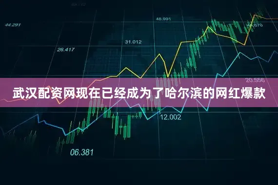 武汉配资网现在已经成为了哈尔滨的网红爆款